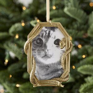 Harry Potter™ Slytherin™ House Photo Frame Ornament Pottery Barn